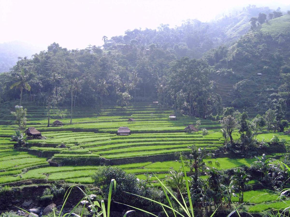 Villa Arjuna Seraya エクステリア 写真
